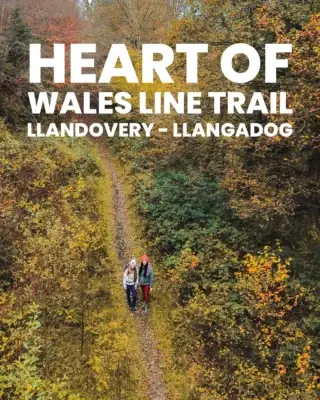 Heart of Wales Line Trail

Completed in 2019, the @heartwalestrail is a 225km hiking route that shadows the railway, wending between stations and through miles of wonderful Welsh countryside.

We walked from Llandovery to Llangadog then took the train back. With imposing Beacons views as it inches down the Tywi Valley, this route is truly beautiful but with plenty gains and losses of elevation, it’s harder work than it looks.

Some interesting facts

❓In Llandovery you’ll see the castle ruins towering above the Town. In front of the castle you’ll see a sculpture dedicated to Llywelyn ap Gruffydd Fychan - Whose Loyalty Never Died. 

Llywelyn ap Gruffydd Fychan was a local, and offered to help King Henry IV find Glyndwr. However, he would never betray his Prince and instead led the king and his forces astray for weeks; which allowed Glyndwr and his men to escape and evade capture.

The King realised that Llywelyn had tricked them, as punishment, he was dragged through the town of Llandovery and tortured&nbsp;in the town square, in front of the castle gates before finally being hung, drawn and quartered. However, Glyndwr remained uncaptured and was never betrayed.

❓ The Physicians of Myddfai were herbalists, living and working in and around the Carmarthenshire village of Myddfai. Rhiwallon, the most well known of them all, was gifted the land of Myddfai by King Rhys in the 1100’s for his healing work with the King. Legend goes that the physicians were the sons of the Lady of the Lake from nearby Llyn y Fan Fach and their healing powers were gifted to them from her.

🚙 Llandovery Railway Station SA20 0BG
🥾 19km 
⏱️ 5 hours 
📈 435m

Map by @ordnancesurvey 

#llandovery #llangadog #myddfai #bannaubrycheiniog #ladyofthelake #breconbeacons #welshhistory #owainglyndwr